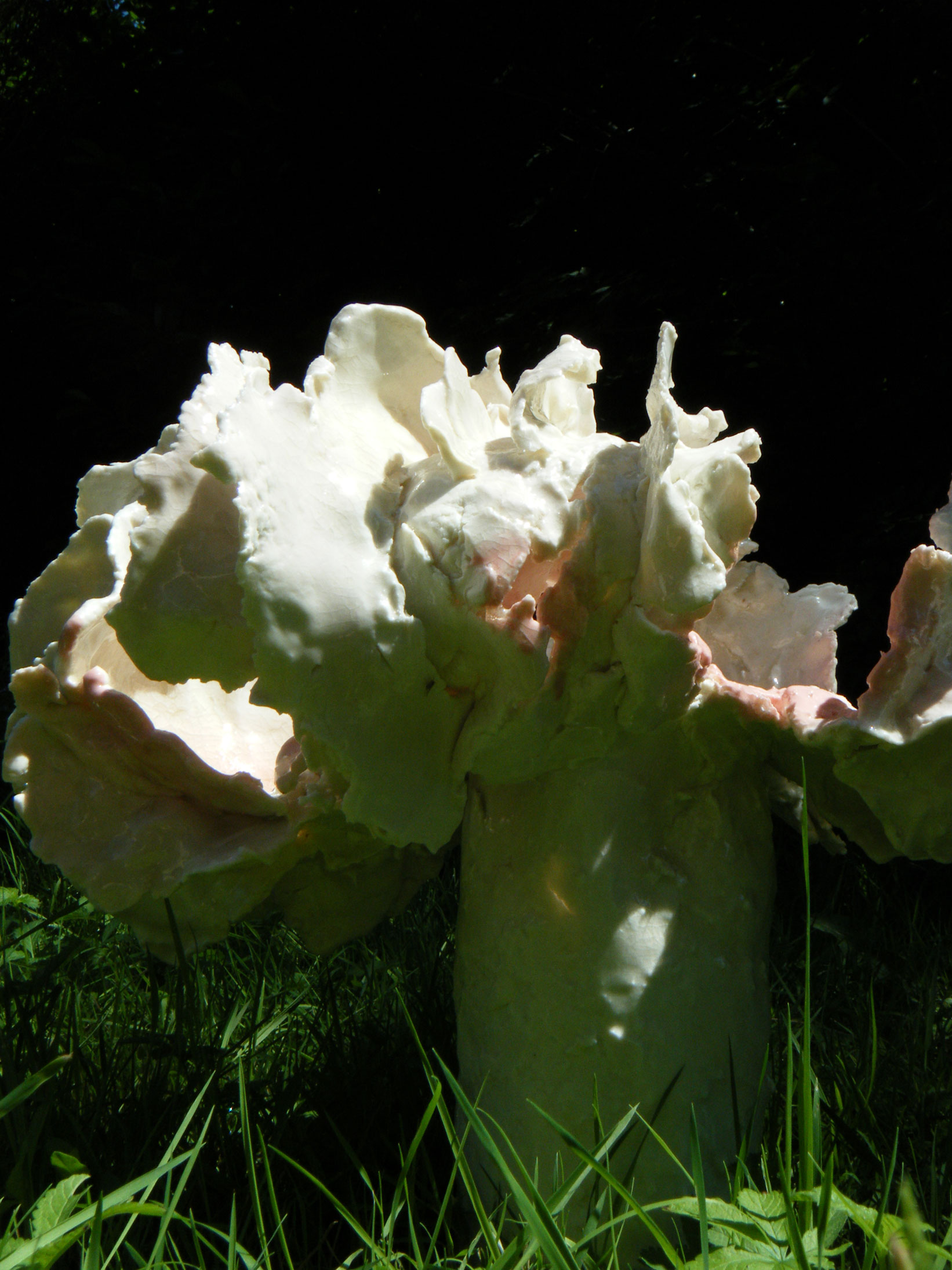 Sporophore