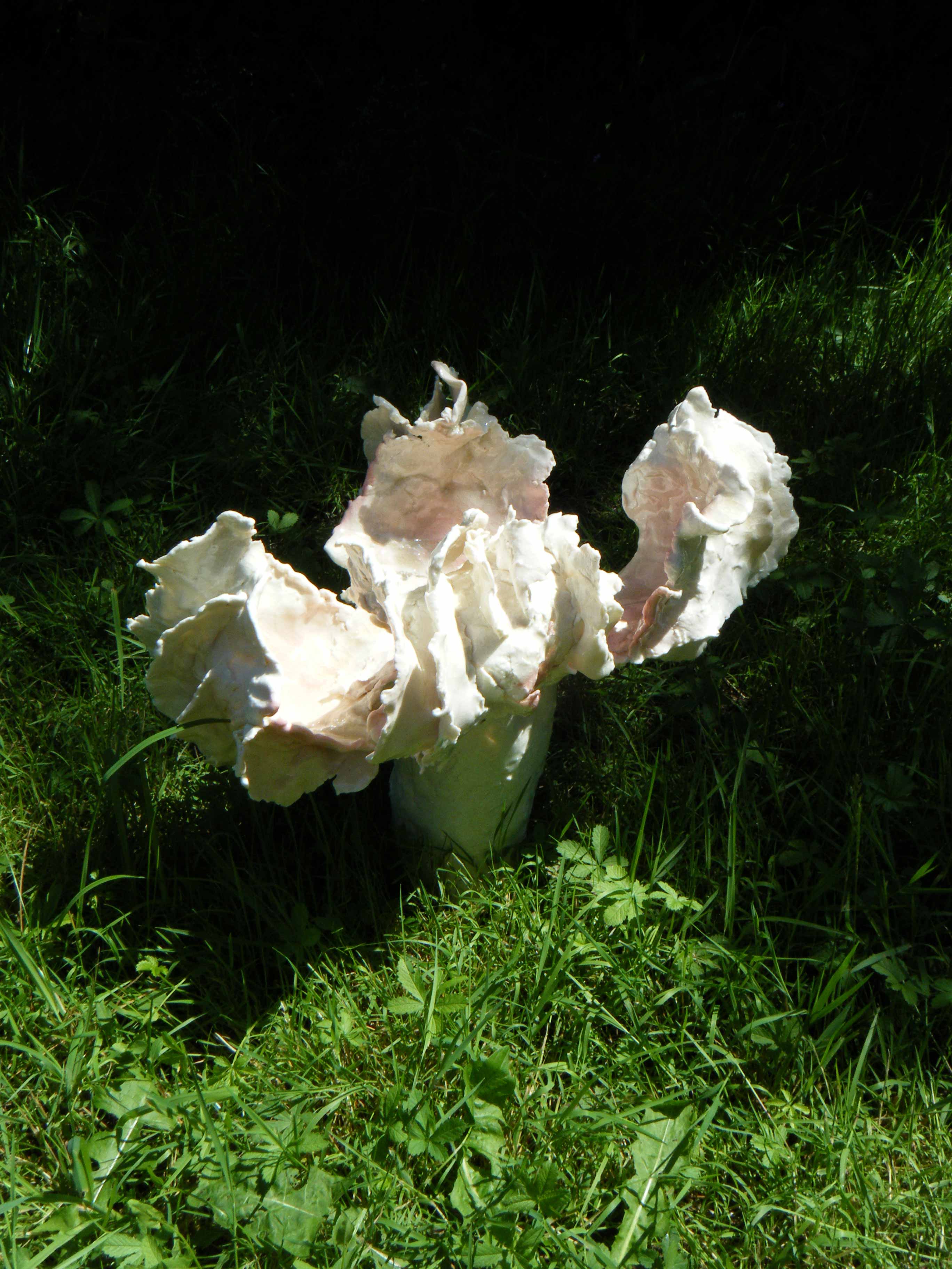 Sporophore