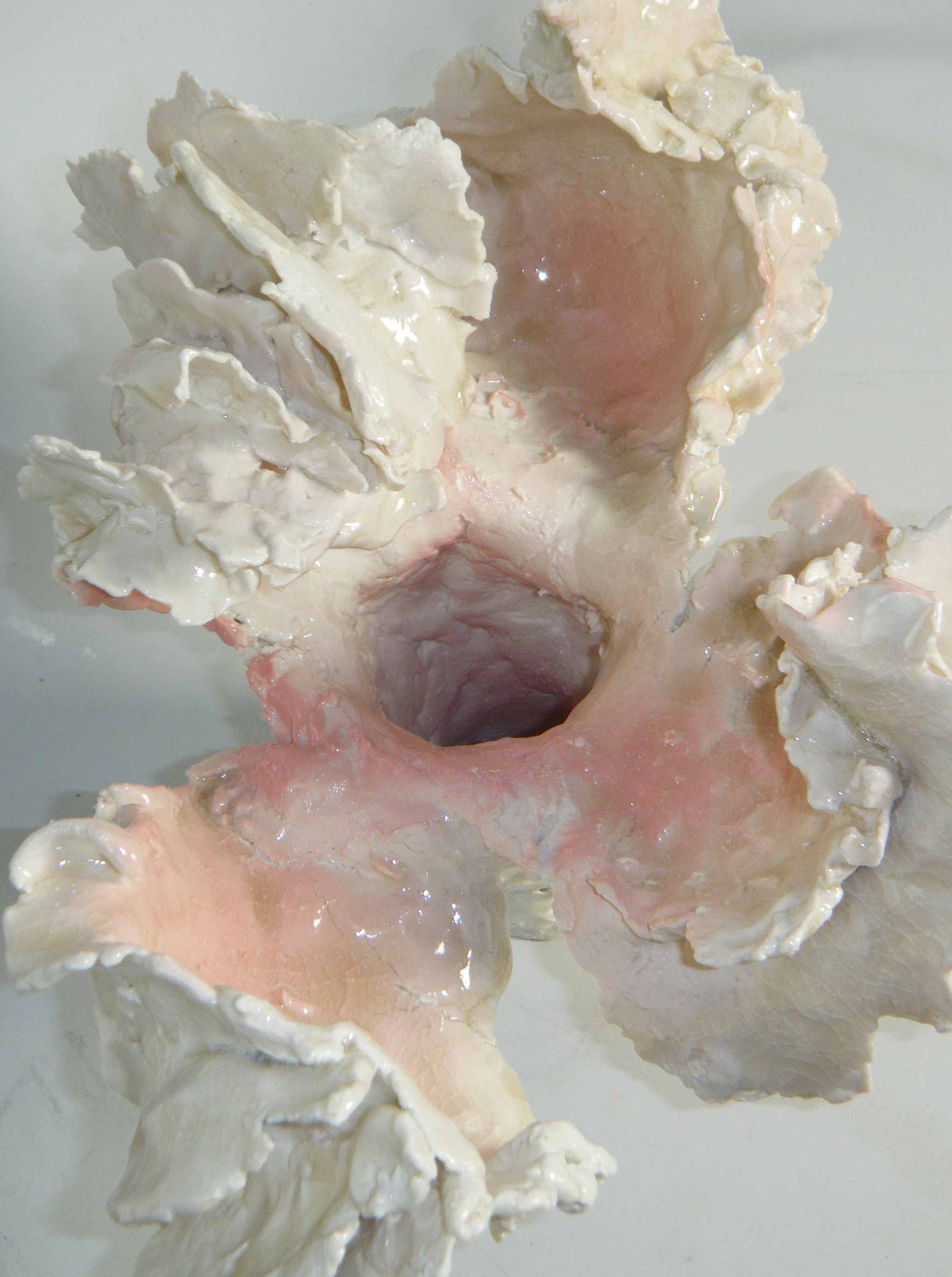 Sporophore